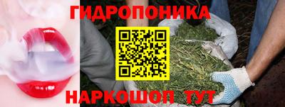 apvp Будённовск