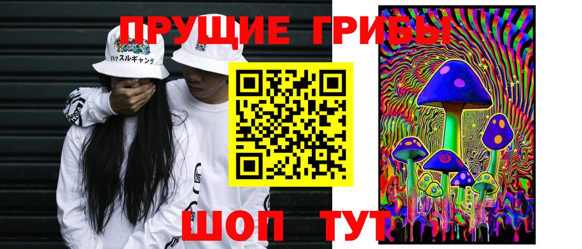Семёнов  Псилоцибиновые грибы прущие грибы  Вход с VPN 