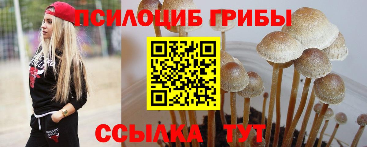 Псилоцибиновые грибы Magic Shrooms Семёнов